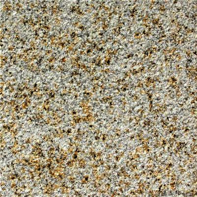 �S�Pʯ����֦��