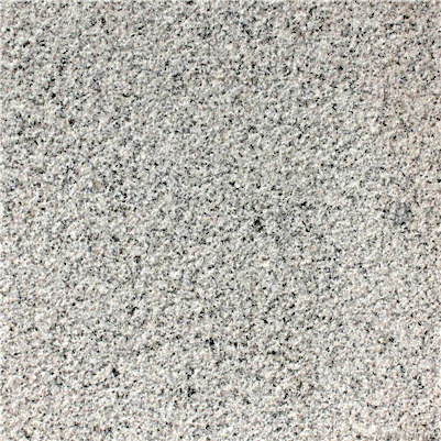 ֥���2#����֦��