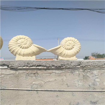 ������ñ